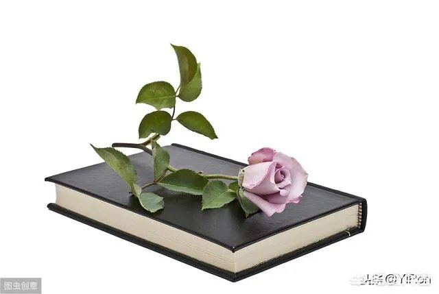 中国一本大学名单？