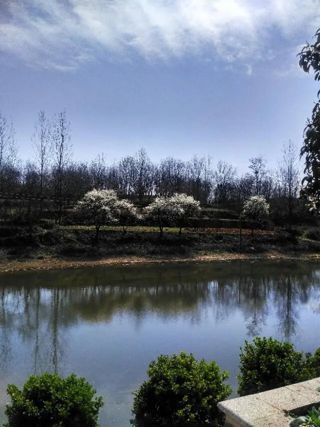 贵州深山的“龙吟”声是什么回事?真的是有不明大型动物未发现吗?