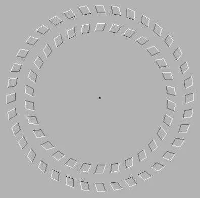 欺骗你眼睛的图片