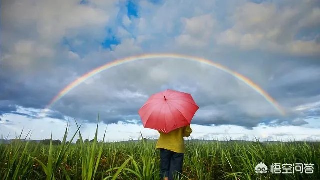 用一句话形容妈妈与爸爸的爱情?