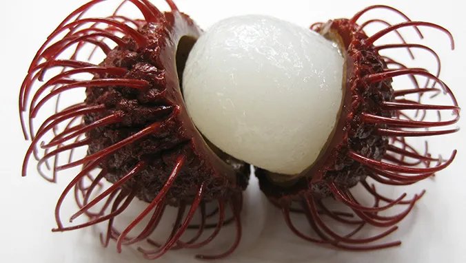 红毛丹的营养价值有哪些