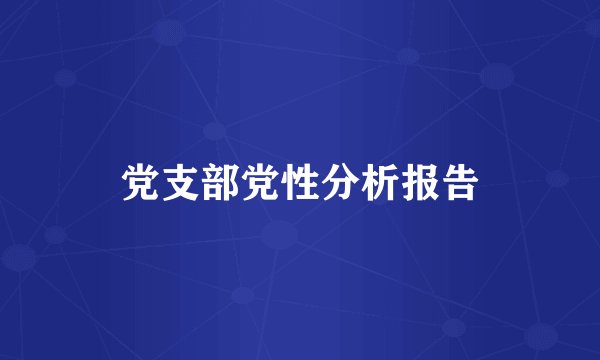 党支部党性分析报告