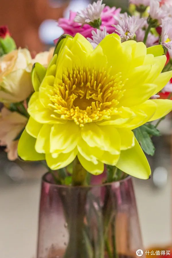 开箱晒物系列 篇八：#晒单大赛#CANON 佳能 穷人三宝集齐（附样片）