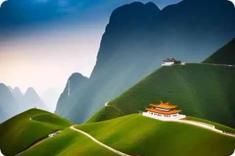 鹦鹉科详细资料大全