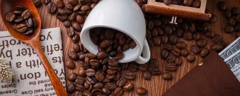 家用咖啡机十大品牌排名 家用咖啡机品牌排行榜前十名