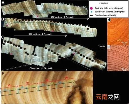 1秒等于多少毫秒微秒 0.01秒等于多少毫秒( 二 )