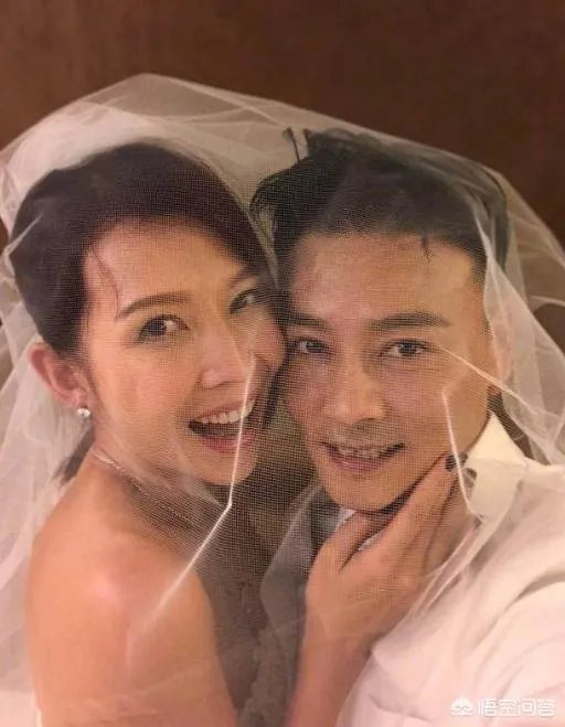 娱乐圈有哪些都很出名的明星夫妇？