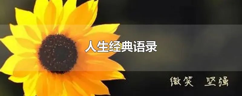 人生经典语录