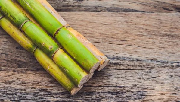 孕妇能吃甘蔗吗