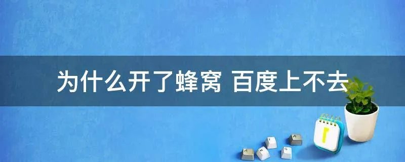 为什么开了蜂窝 百度上不去