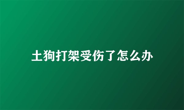 土狗打架受伤了怎么办