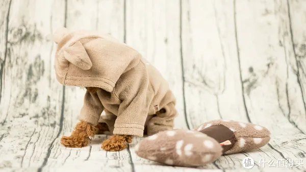 开箱晒物系列 篇八：#晒单大赛#CANON 佳能 穷人三宝集齐（附样片）