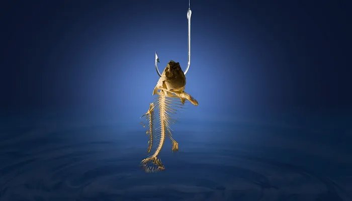 钓草鱼用什么打窝 钓草鱼用什么打窝好