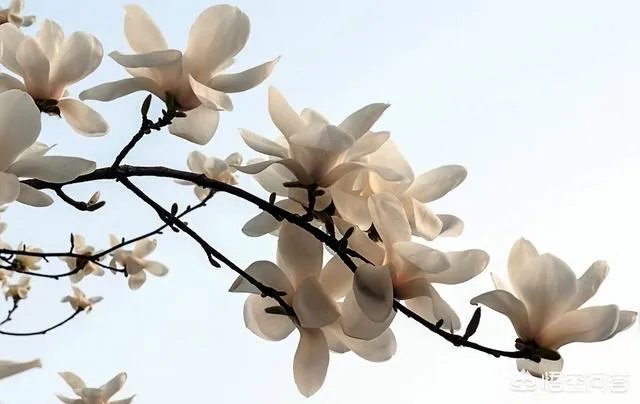 福州高盖山公园在哪里,好玩吗?