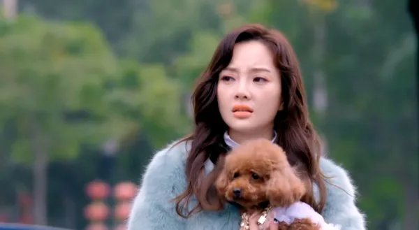 如何评价电视剧《守护丽人》?值得一看吗?