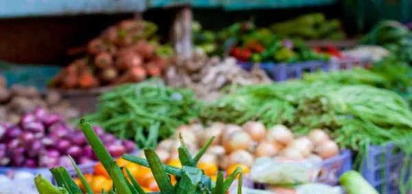 新发地蔬菜价格表今日蔬菜