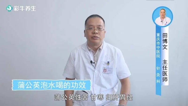 蒲公英泡水喝的功效