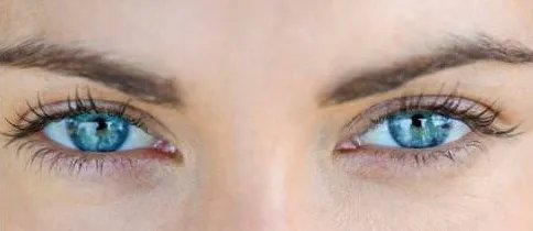 全切双眼皮费用