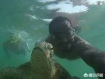 小米运动相机和普通相机，有什么区别？