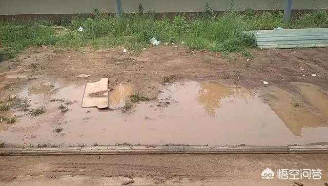 洛阳市有哪些知名小区