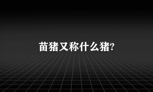 苗猪又称什么猪?