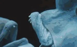 纪录片《蓝色星球》讲了什么?好看吗?