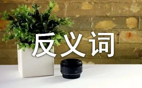 幼稚的反义词是什么