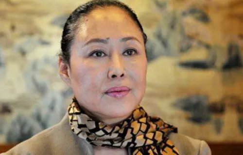 双重国籍有哪些明星