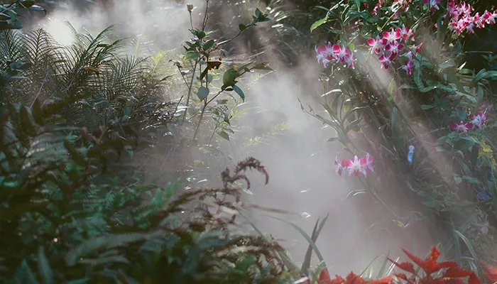 梦见找不到回家的路了是什么意思