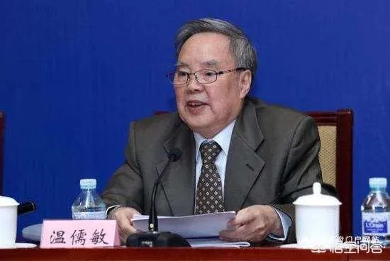 温儒敏教授对一次作文赛点评说小学生作文“元气淋漓