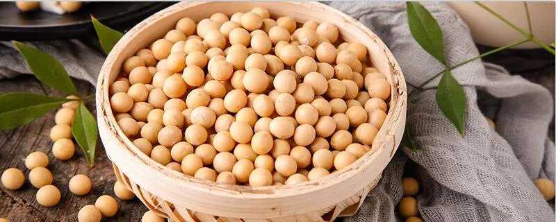 五谷中的菽是指 五谷中的菽是指什么