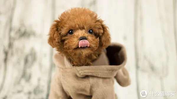 开箱晒物系列 篇八：#晒单大赛#CANON 佳能 穷人三宝集齐（附样片）