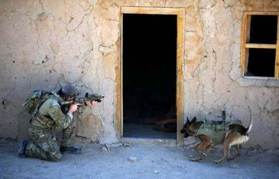 世界十大特种部队有哪些？