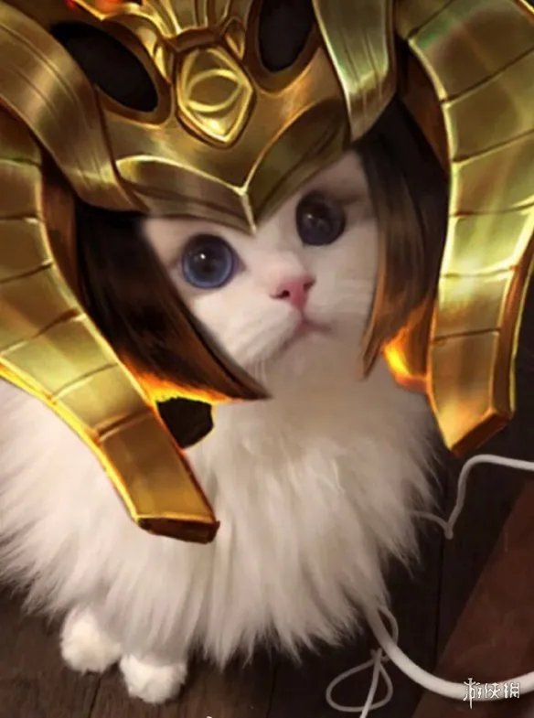 《王者荣耀》猫咪接头头像最新 猫咪头像大全