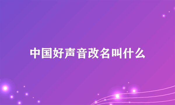 中国好声音改名叫什么