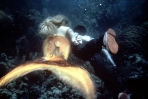 现代美人鱼的介绍