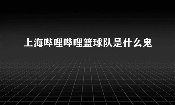 上海哔哩哔哩篮球队是什么鬼