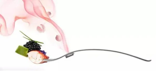 whoo后官网正品查询