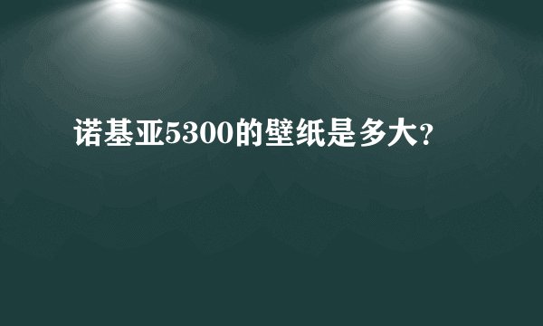 诺基亚5300的壁纸是多大？