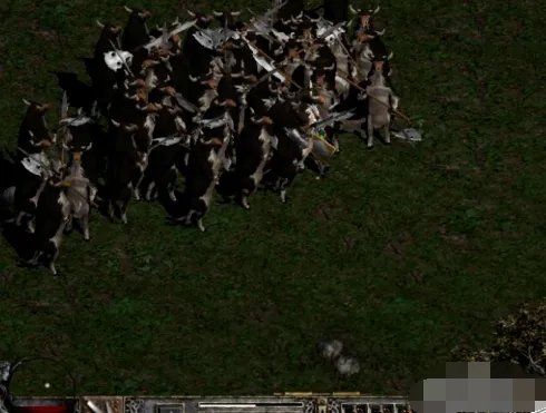 怀特之腿怎么用?