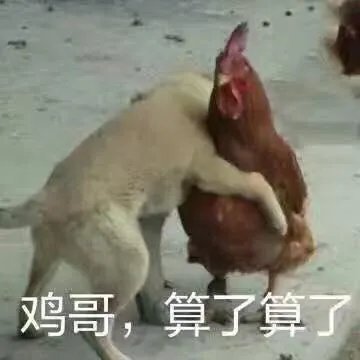 如何看待龙争虎斗加基森后的炉石传说？