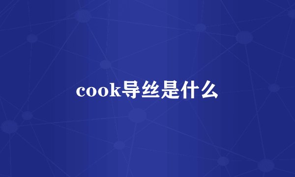 cook导丝是什么