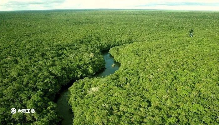 亚马逊河流域经过几个国家