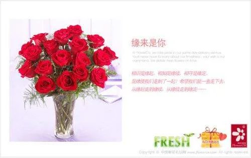 世界上有没有动物火狐俚