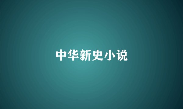 中华新史小说