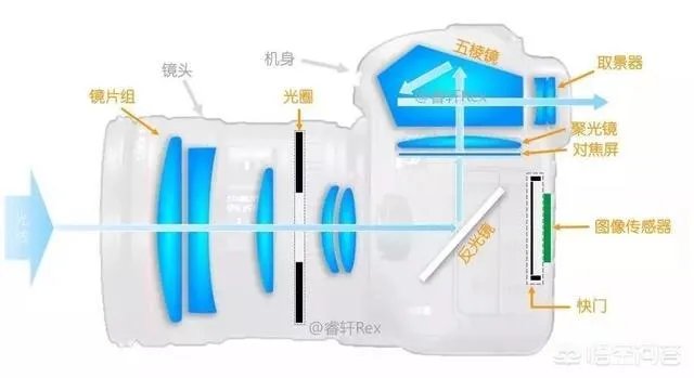 无反,微单,单反有什么区别,如果购买应该买哪种呢?