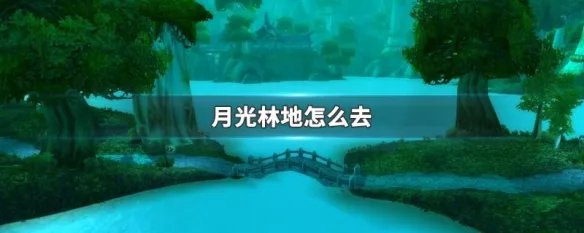 月光林地怎么去