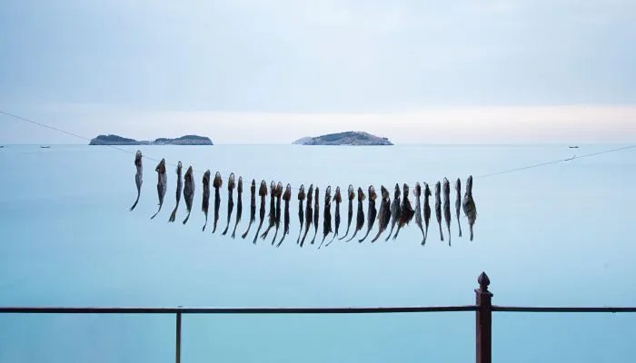 三九四九冰上走的下一句 三九四九冰上走是几月