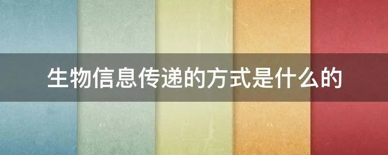 生物信息传递的方式是什么的