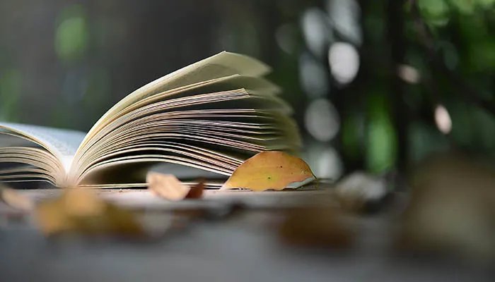 却话巴山夜雨时的意思